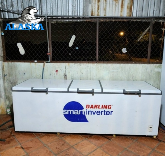 Darling 1400lit inverter